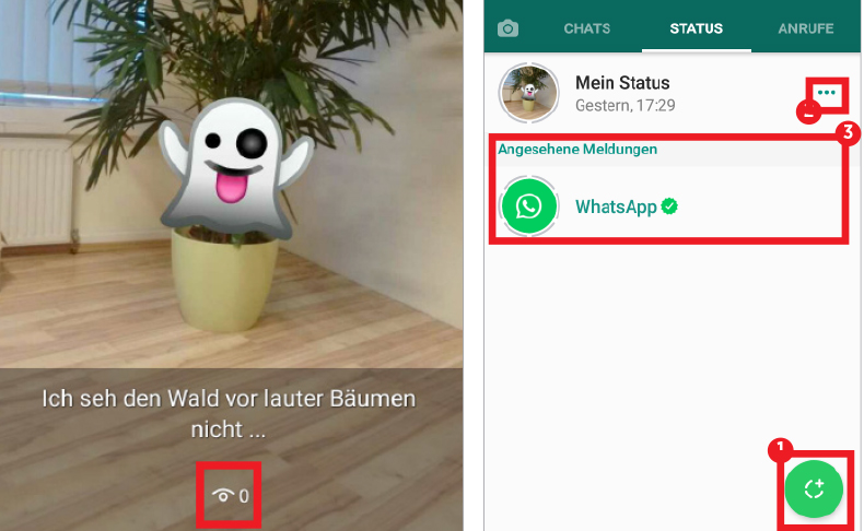 WhatsApp: Die Neue Status-Funktion - Schritt Für Schritt Erklärt ...