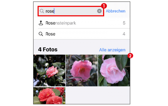 iPhone Fotos_Fotos suchen